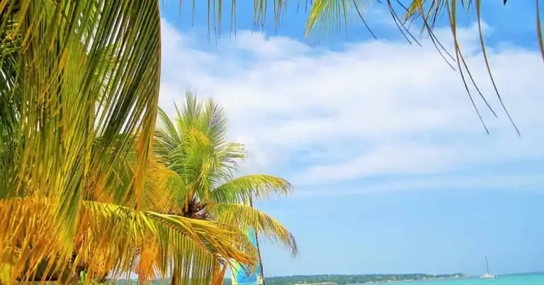 que hacer en jamaica