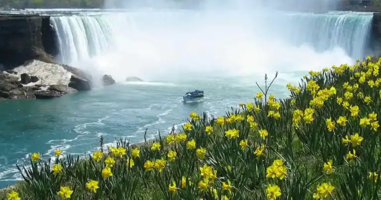 viaje a las cataratas del niagara