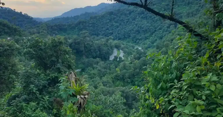 quebrada de los solsa