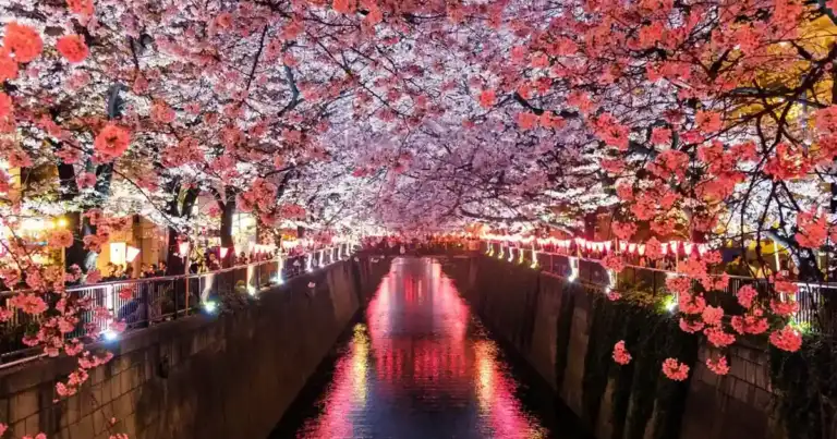 Japón planificar viaje