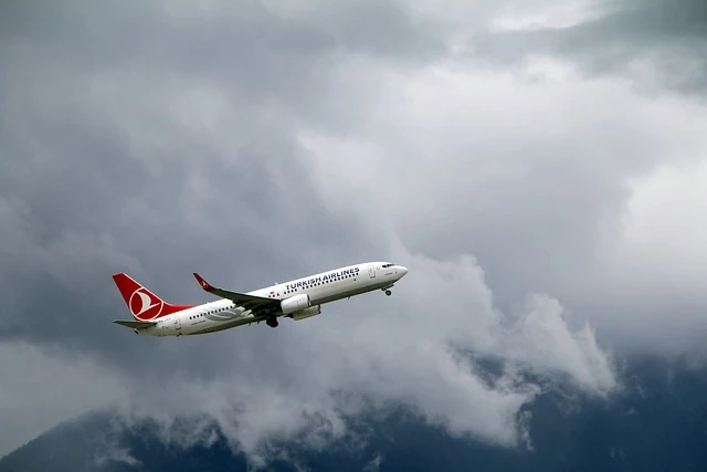 turkish airlines sydney