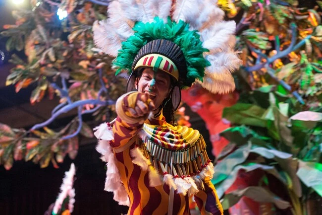 Rio de janeiro carnaval noche