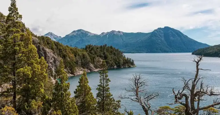 cuales son los bosques mas reconocidos en estados unidos