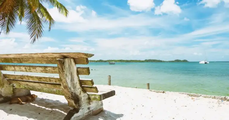 playas del sur de brasil. Agua celeste, palmeras y un banco de plaza para sentarse