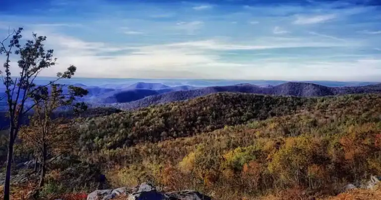 cosas divertidas que hacer en virginia
