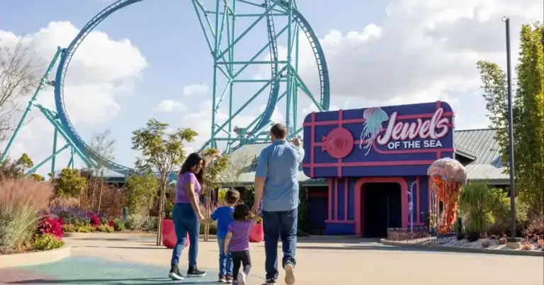 sea world san diego jellyfish experience