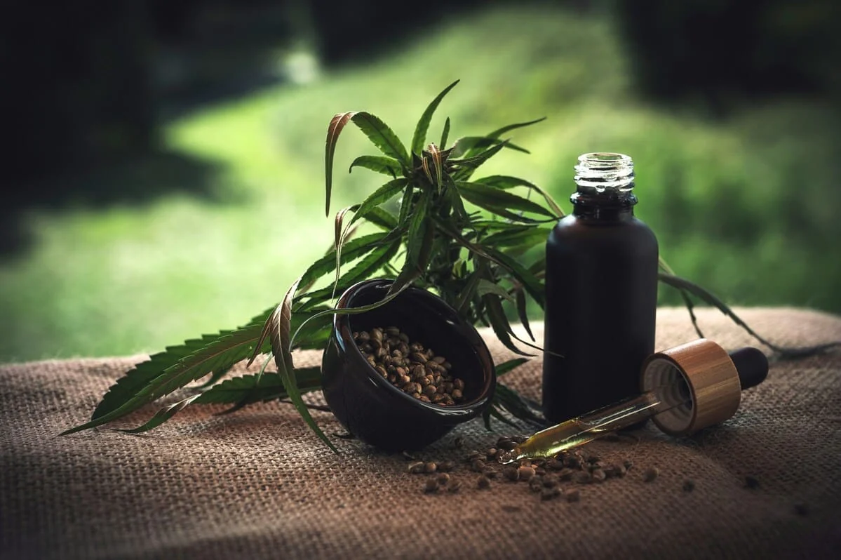 cannabis cocina