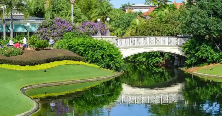 qué hacer en orlando gratis