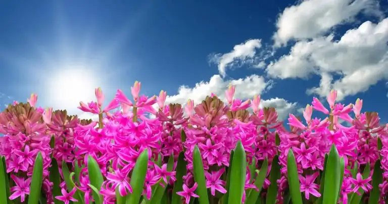 vacaciones de primavera
