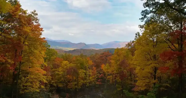 qué hacer en gatlinburg