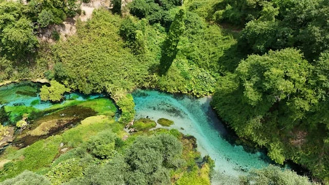Manantial de aguas cristalinas rodeado de vegetación densa y bosque en Albania.