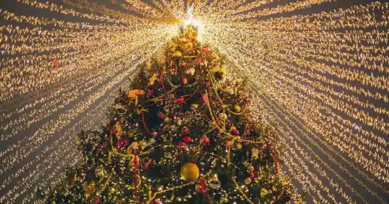 Árbol de Navidad decorado con luces y adornos bajo un cielo iluminado.