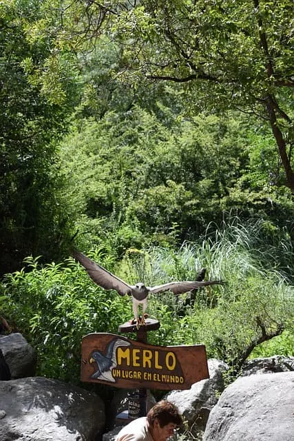 Cartel de bienvenida de Merlo, San Luis, rodeado de vegetación y naturaleza serrana