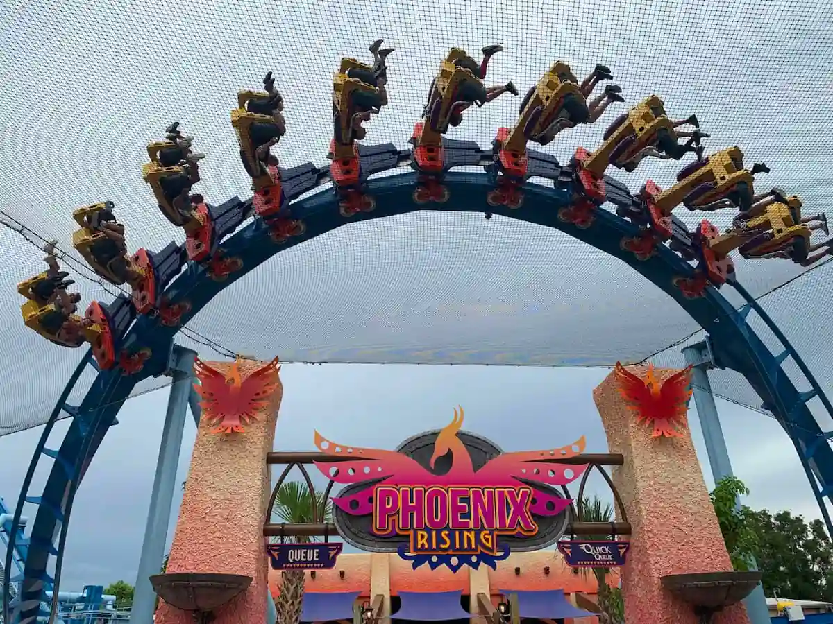Phoenix Rising, la nueva montaña rusa invertida de Busch Gardens Tampa Bay Phoenix Rising en Busch Gardens Tampa Bay, montaña rusa invertida con pasajeros suspendidos en pleno recorrido