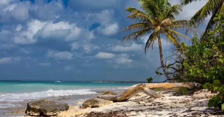 Playa caribeña con arena blanca, palmeras y mar turquesa, imagen comparativa para elegir entre Brasil o Caribe en 2026.