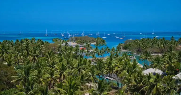 Vista tropical de Nueva Caledonia con palmeras, laguna azul y veleros en el Pacífico Sur.
