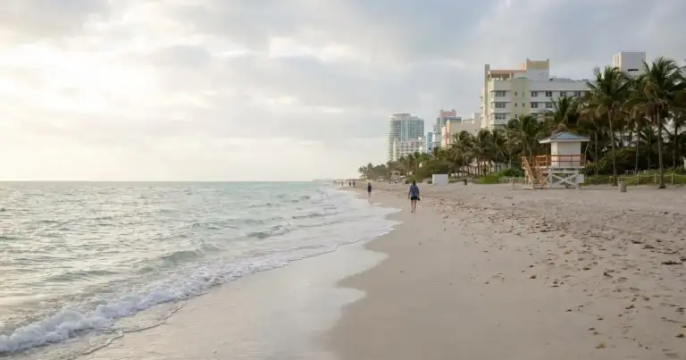 playa de miami con hoteles y palmeras al amanecer