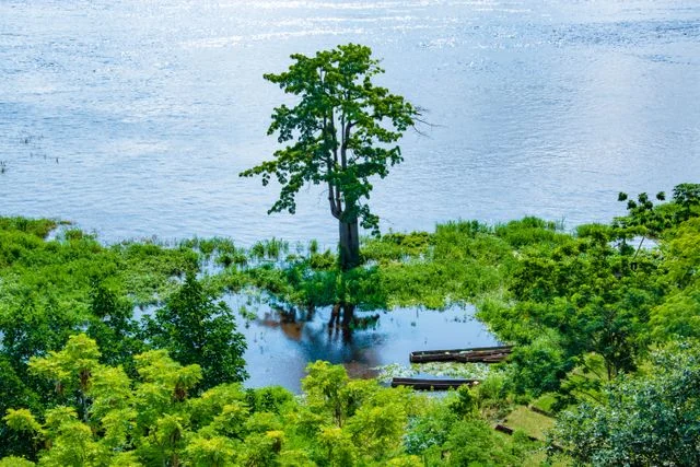 Río Congo y paisajes naturales de la RDC Paisaje natural de la República Democrática del Congo junto al río Congo, imagen relacionada con una guía sobre dónde queda el país.