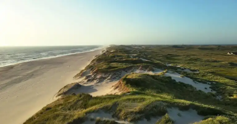 Playa extensa con dunas, vegetación y una larga franja de arena junto al mar, ideal para ilustrar grandes arenales de Europa.
