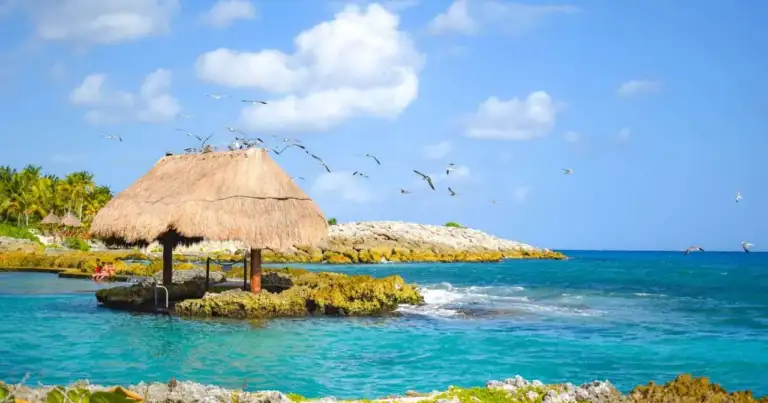 Costa de Playa del Carmen con mar turquesa, palapa frente al agua y paisaje del Caribe mexicano.