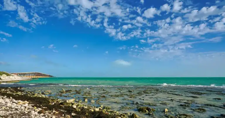 Costa rocosa con aguas turquesas en el entorno de Key West y los Cayos de Florida.