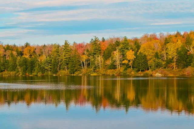 Lago rodeado de bosques de Nueva Inglaterra en otoño, con árboles amarillos, naranjas y verdes reflejados en el agua.