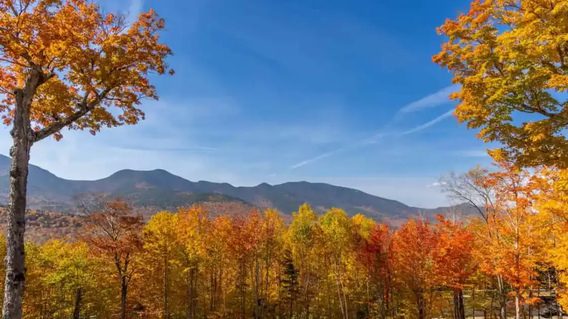Paisaje de montaña en Nueva Inglaterra durante el otoño, con bosques de hojas amarillas, naranjas y rojas bajo cielo azul.