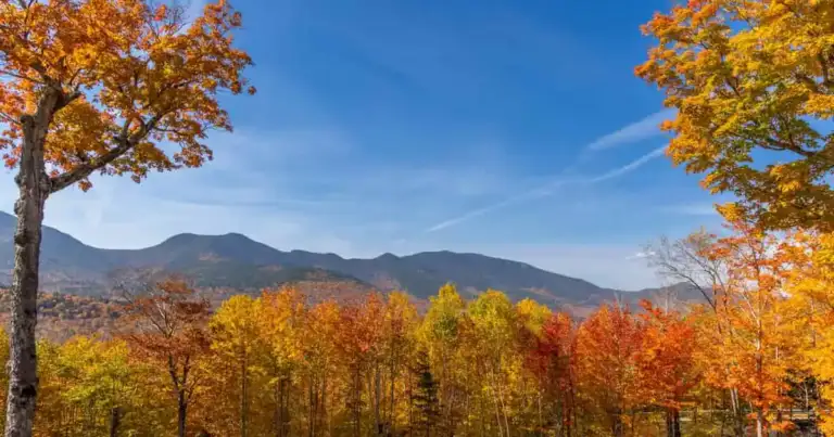 Paisaje de montaña en Nueva Inglaterra durante el otoño, con bosques de hojas amarillas, naranjas y rojas bajo cielo azul.