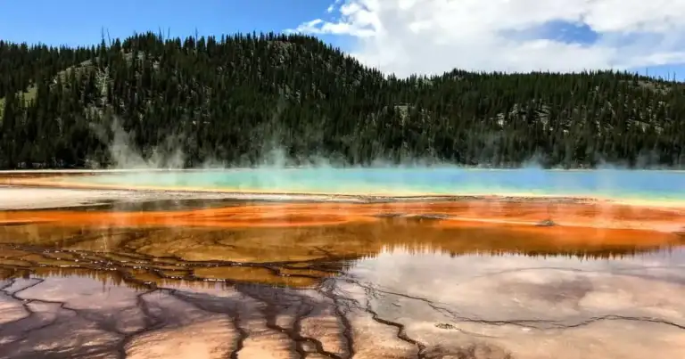 Piscina termal multicolor en Yellowstone con vapor, tonos turquesa y naranjas, bosque de pinos y cielo azul.