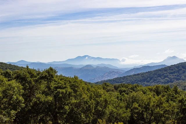 Paisaje de sierra con encinares y montañas en una región vinculada a la producción de jamón ibérico en España.