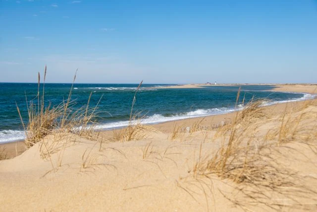 Playas y dunas de Cape Cod en Massachusetts Playa de Cape Cod con dunas de arena, vegetación costera y el océano Atlántico en Massachusetts.