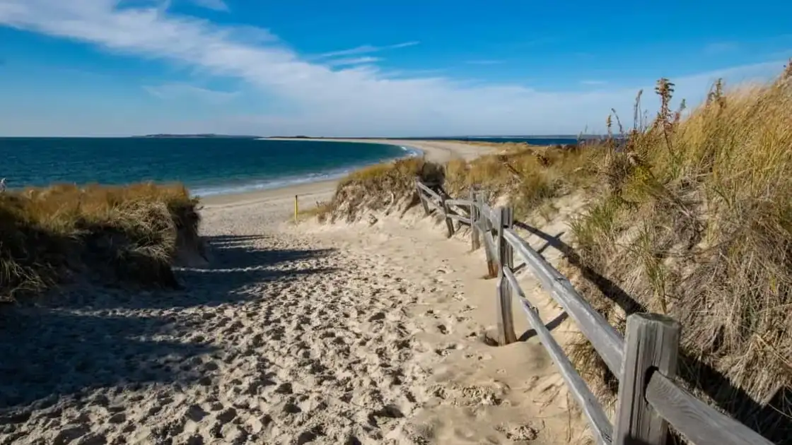 Sendero de arena entre dunas que conduce a una playa de Cape Cod, en Massachusetts.