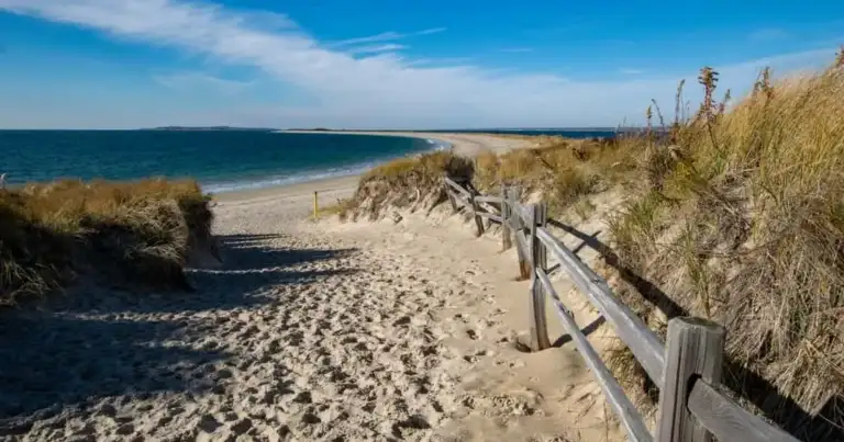 Sendero de arena entre dunas que conduce a una playa de Cape Cod, en Massachusetts.