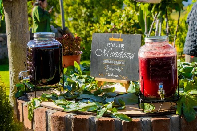 Experiencias en bodegas de Mendoza sin necesidad de conducir Bebidas servidas en dispensadores durante una experiencia de enoturismo en Mendoza