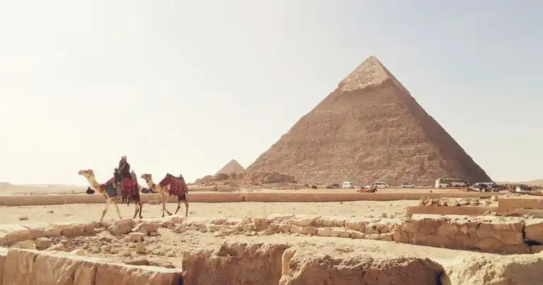 Camellos frente a las pirámides de Giza en Egipto bajo un cielo despejado