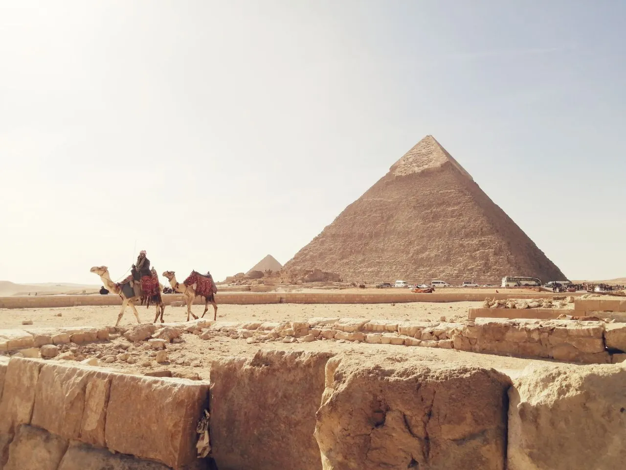 Camellos frente a las pirámides de Giza en Egipto bajo un cielo despejado