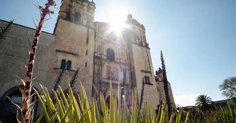 Templo de Santo Domingo de Guzmán en Oaxaca de Juárez visto entre agaves