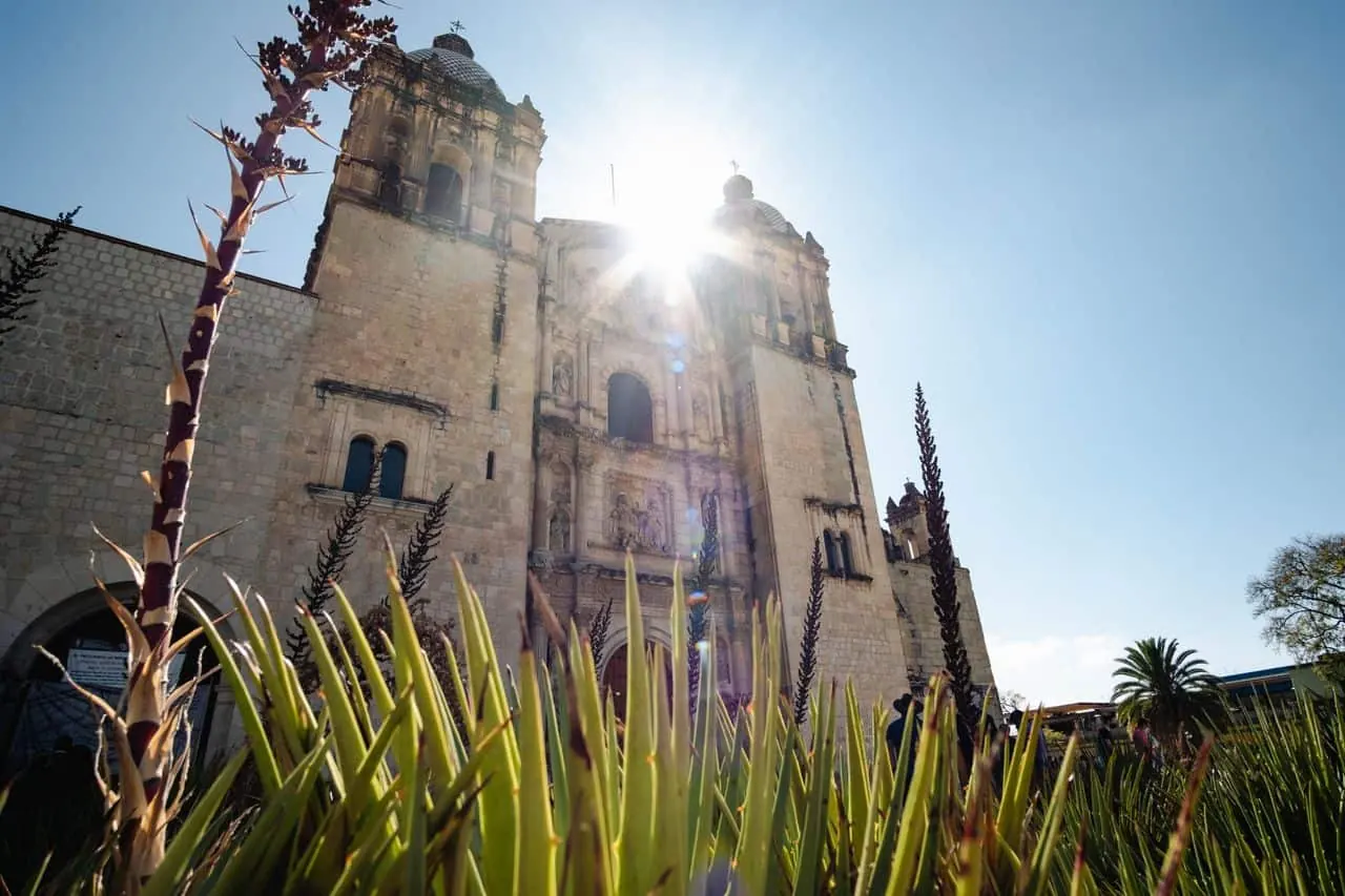 Templo de Santo Domingo de Guzmán en Oaxaca de Juárez visto entre agaves