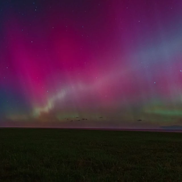 Auroras boreales: colores intensos y diferencias entre cámara y vista humana Aurora boreal en tonos rosados y verdes sobre un paisaje oscuro bajo un cielo estrellado