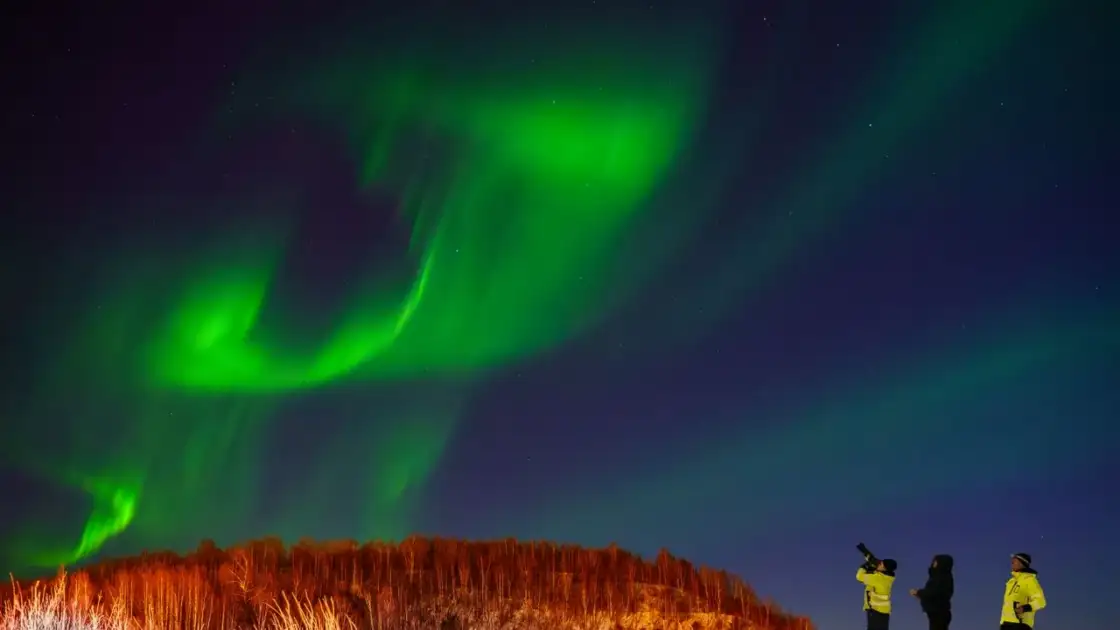 Viajeros observan una aurora boreal verde durante una excursión nocturna en un paisaje nevado