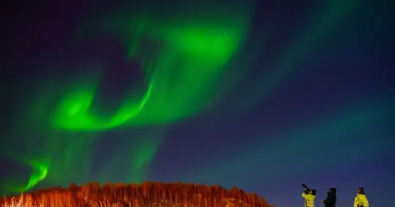 Viajeros observan una aurora boreal verde durante una excursión nocturna en un paisaje nevado