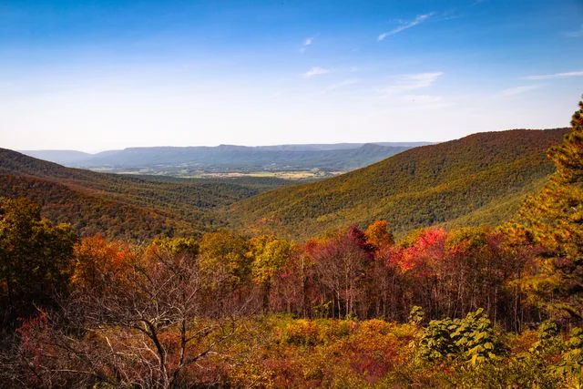 West Virginia: programa que ofrece incentivos para mudarse Paisaje montañoso de West Virginia con bosques de colores otoñales