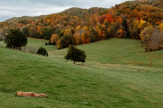 West Virginia: naturaleza y comunidades del programa de relocalización Paisaje rural de colinas y bosques con colores otoñales en la región de los Apalaches